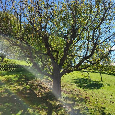 Ferienhaus Zangl Am Seggauberg - Suedsteiermark Leibnitz Exteriér fotografie