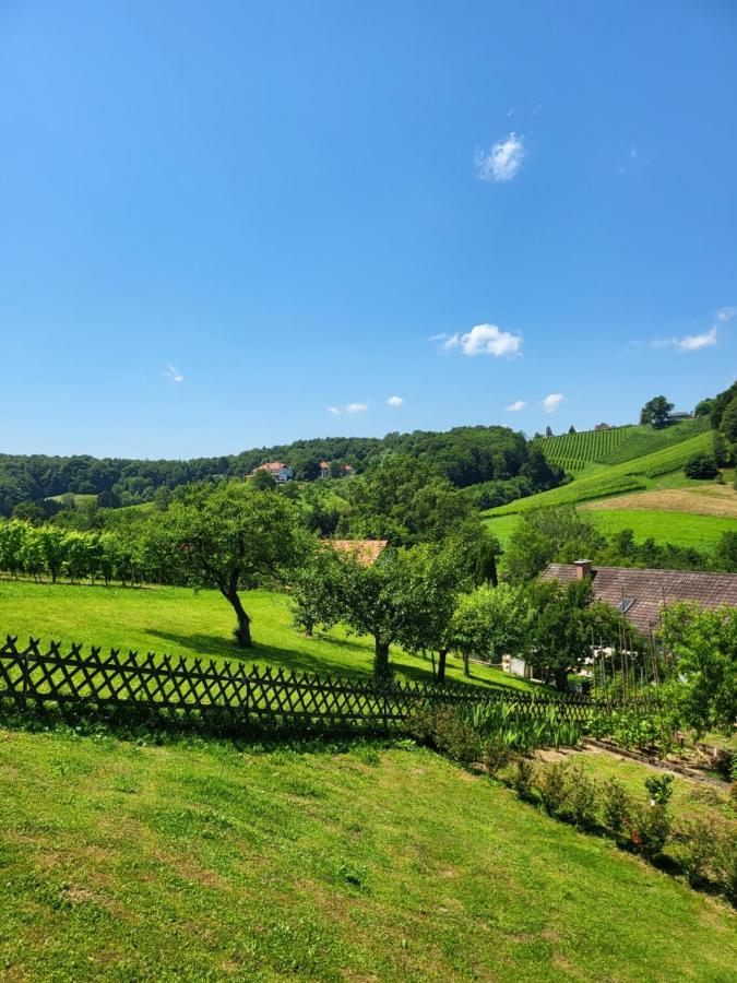 Ferienhaus Zangl Am Seggauberg - Suedsteiermark Leibnitz Exteriér fotografie