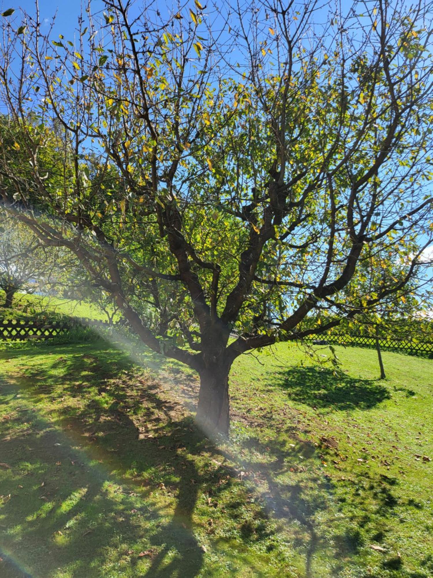 Ferienhaus Zangl Am Seggauberg - Suedsteiermark Leibnitz Exteriér fotografie