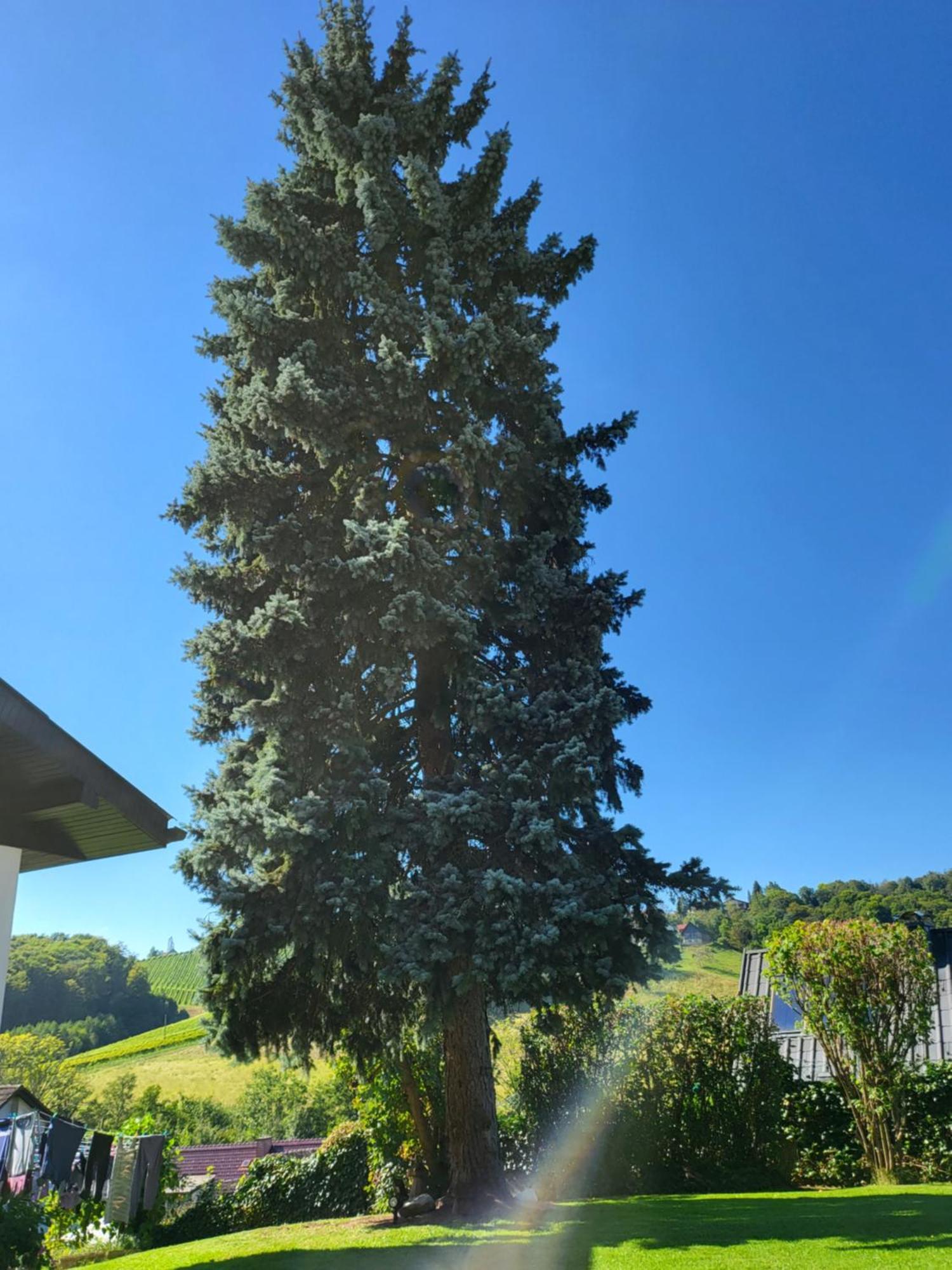 Ferienhaus Zangl Am Seggauberg - Suedsteiermark Leibnitz Exteriér fotografie