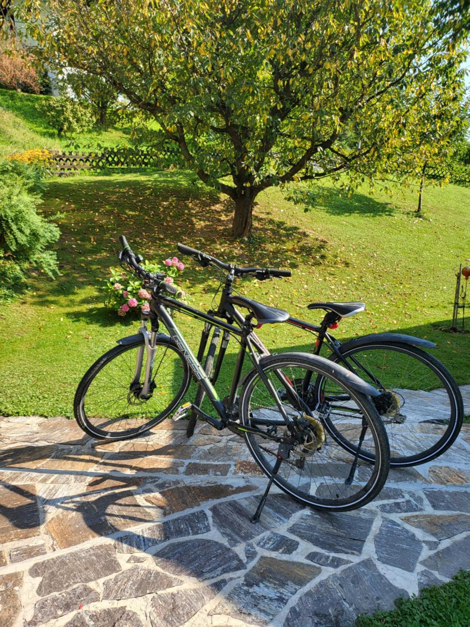 Ferienhaus Zangl Am Seggauberg - Suedsteiermark Leibnitz Exteriér fotografie