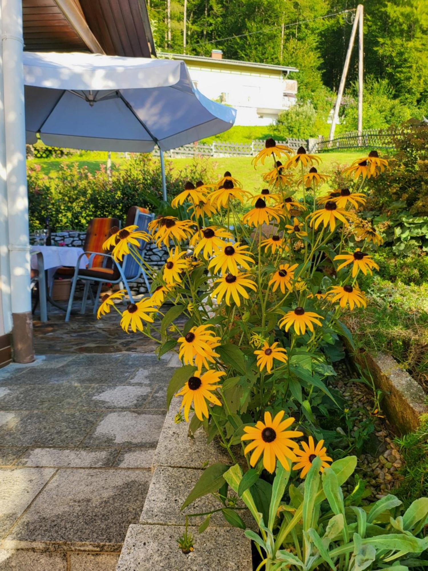 Ferienhaus Zangl Am Seggauberg - Suedsteiermark Leibnitz Exteriér fotografie